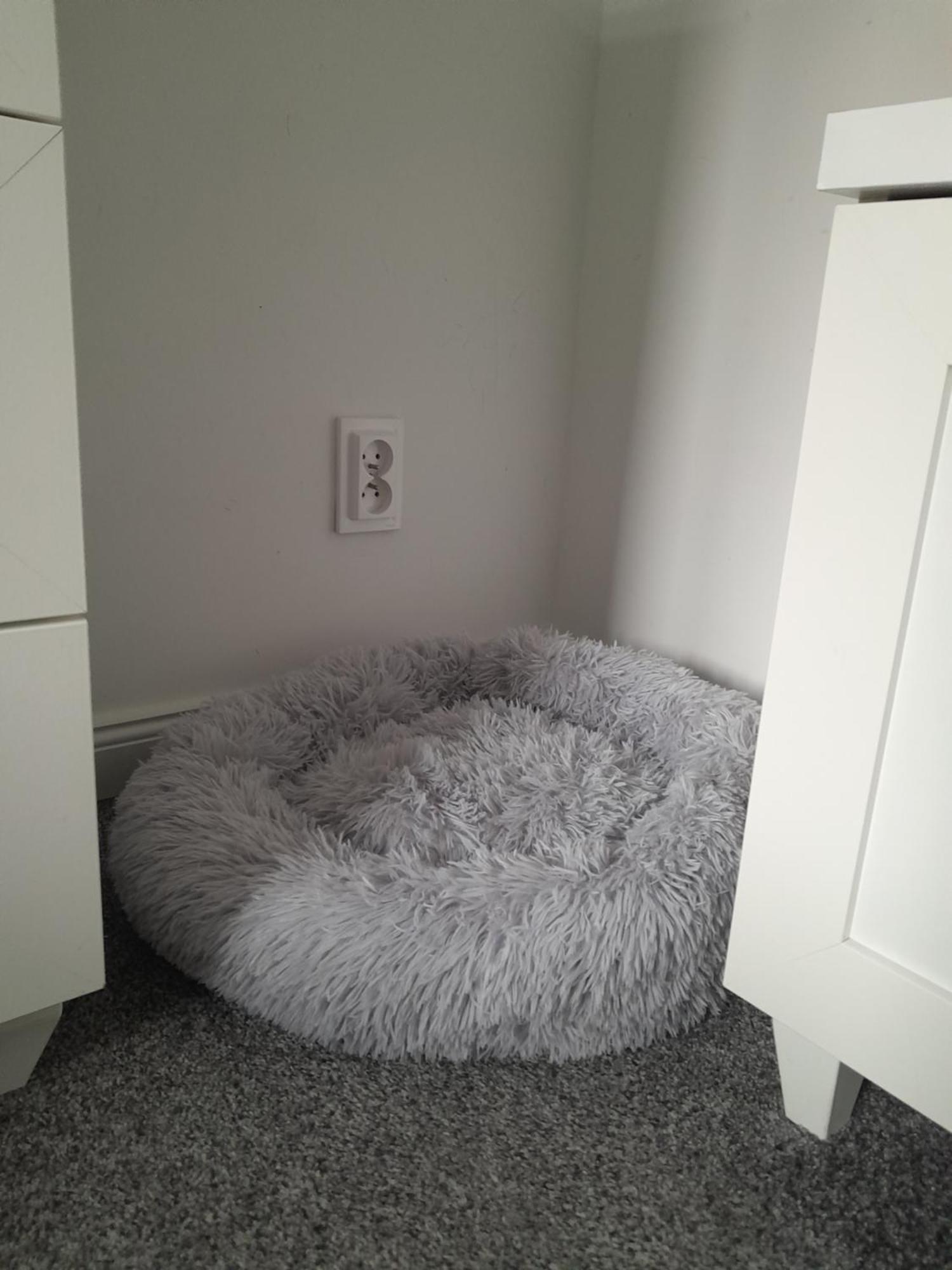 Apartament "Konie I Anioly" Boguszów-Gorce Esterno foto